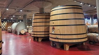 Priorat Wine Tour for Professionals From Barcelona