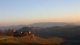 Tenuta Tenaglia