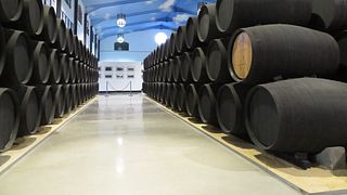 Production of young wines + Sherry Casks and Sherry vinegars + Museum + Tasting