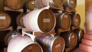 Cantina Poggio Borgoni