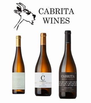 Utforska Cabrita Wines: Guidad vingårdstur och provsmakning av 4 premiumviner