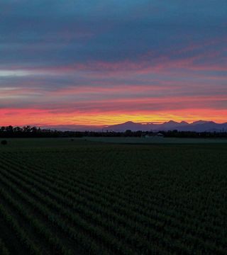 Degustazione Vini e Tour a Turra Franciacorta