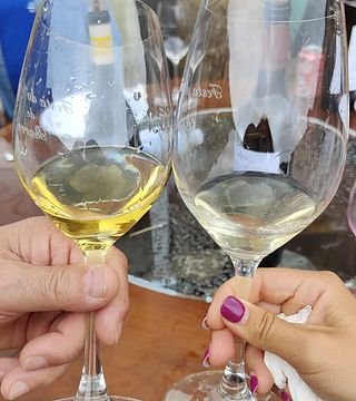 Recorrido privado de día completo de gastronomía y vino por Galicia desde Vigo