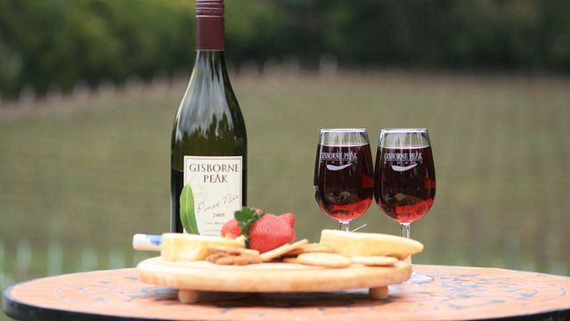 Degustação de vinhos populares e tour na vinícola Gisborne Peak