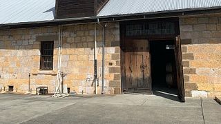 Dégustation de vins et visite du domaine viticole T-Vine