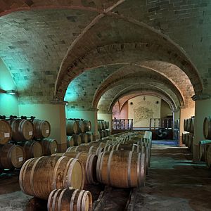 Storia e vino