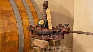 Dégustation de vins et visite à Colli Di Castelfranci