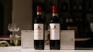 Carpineta Fontalpino Winery