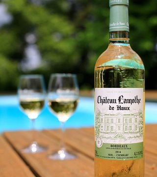 Vinprovning och rundtur på Château Lamothe De Haux