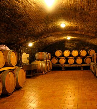 Dégustation de vins et visite à la Cantina Perazzeta