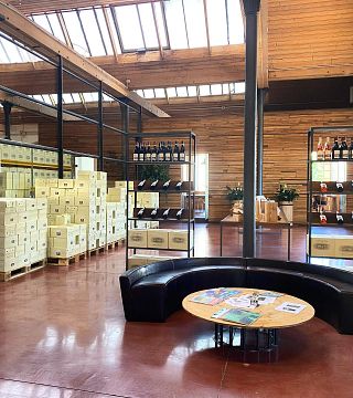 Picnic in the Vineyard at Villa San Carlo