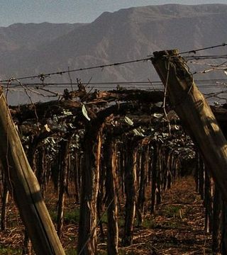 Valle De La Puerta Winery