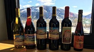 Weinprobe und Tour im Weinkeller Vino Salida