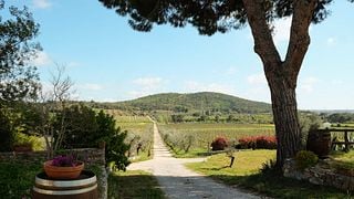 Bulichella nel bicchiere