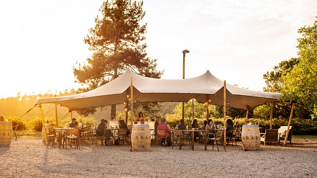 Catalan Wine Journey: Abadal Tasting & Bages Heritage