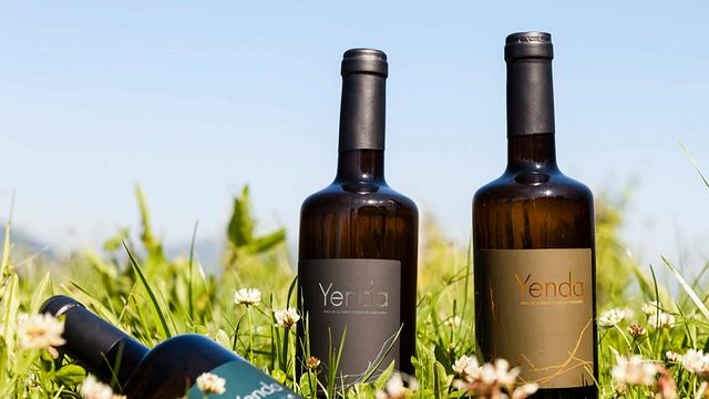 Bodegas Sel D’Aiz