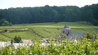 Degustazione e tour di champagne allo Champagne Jean Pierre Secondé