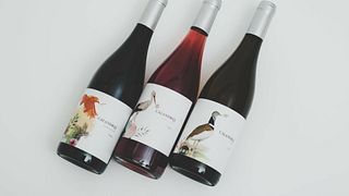 Bodegas Belote