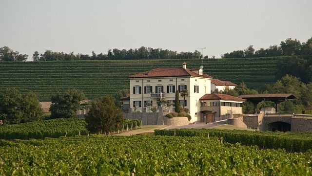 Weinprobe bei Schiopetto