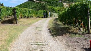 Enjoy Piedmont Wine & Food Journey at Agricola Molino