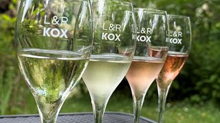 Experiencia de degustación a ciegas del "Crémant de Luxemburgo" en el Domaine Kox