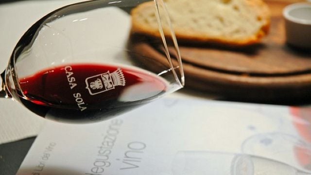 Degustação de vinhos e tour na Casa Sola