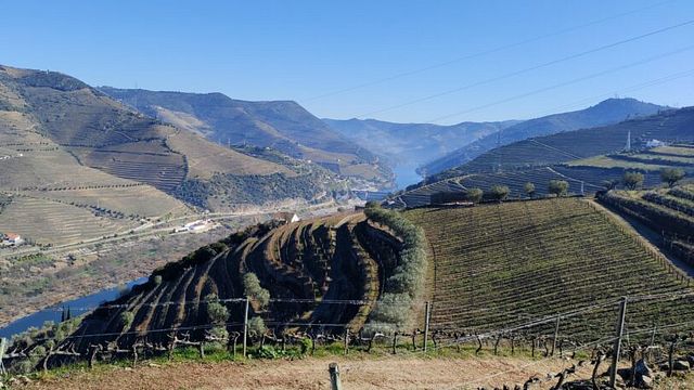 Quinta Dos Poços