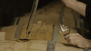 Weinprobe und Tour bei Sieur d'Arques
