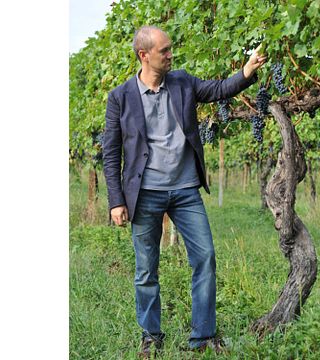 Azienda Agricola Conte Loredan Gasparini
