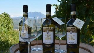 Degustação De Vinhos E Tour Na Azienda Agricola Annicchiarico Feudodicastelmozzo