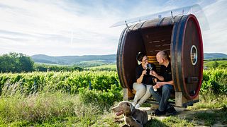 Dégustation de vins et visite du Weingut Fritz Walter