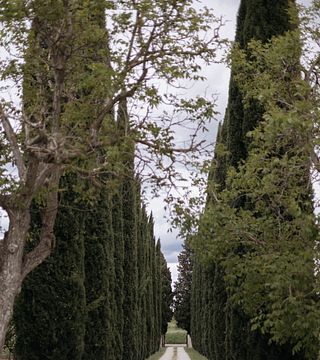 Cantina La Fonte
