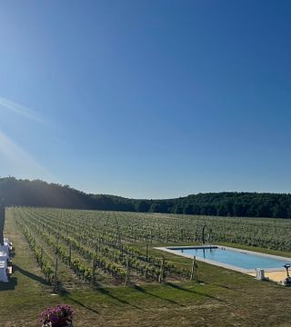 Wine Art Shop Podere Casanova