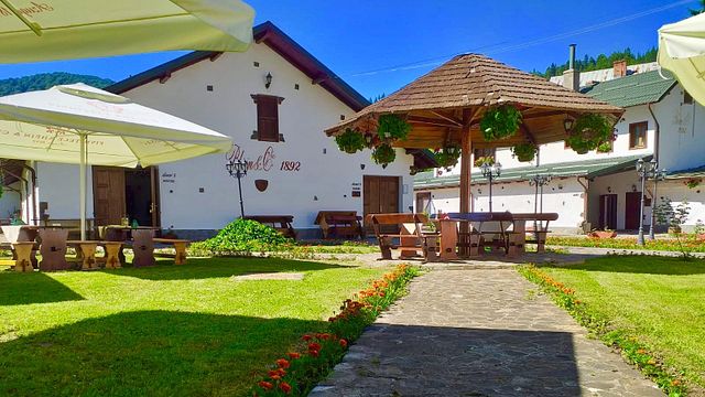 Dégustation de vins et visite de la cave à vin Azuga Rhein