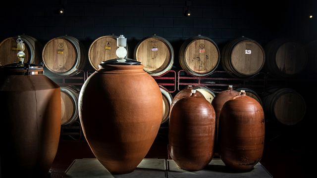 Dégustation de vins traditionnels à Bodegas Sumarroca