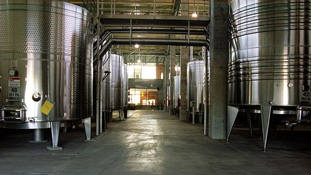 Weinprobe und Tour in der Bodega Zolo