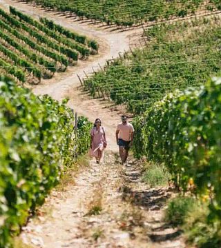 Privat rundtur till Chianti vingårdar