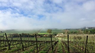 Quinta do Monte d'Oiro