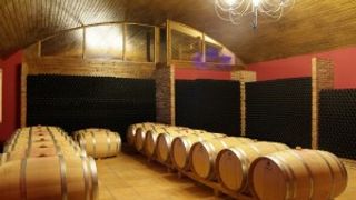 Degustazione e visita alle Bodegas Landaluce