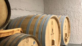 Cata de vinos y tour en Centurio