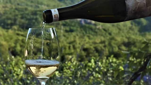 Tour and Tasting of 3 Wines