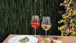 Winery visit , wine tasting and lunch