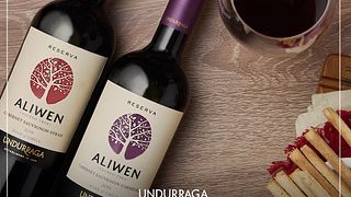 Piquenique e degustação de vinhos