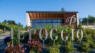 Azienda Agricola Il Poggio