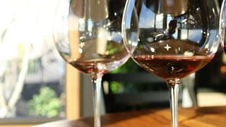 Dégustation de vins et visite des vignobles de la vallée de Willamette