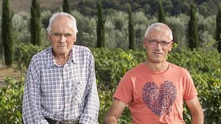 Cata de vinos populares y visita a la bodega Azienda Agricola Innocenti