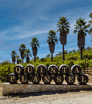 Platin-Weinprobe im Quinta Da Plansel