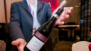 Degustação de Barolo EXPERIÊNCIAS e Visitas
