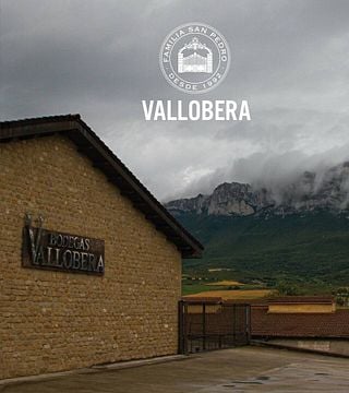 Visita alla cantina e degustazione di vini a Bodegas Vallobera