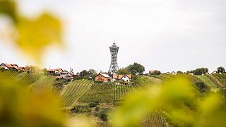 Degustação de vinhos e tour em Lendwines